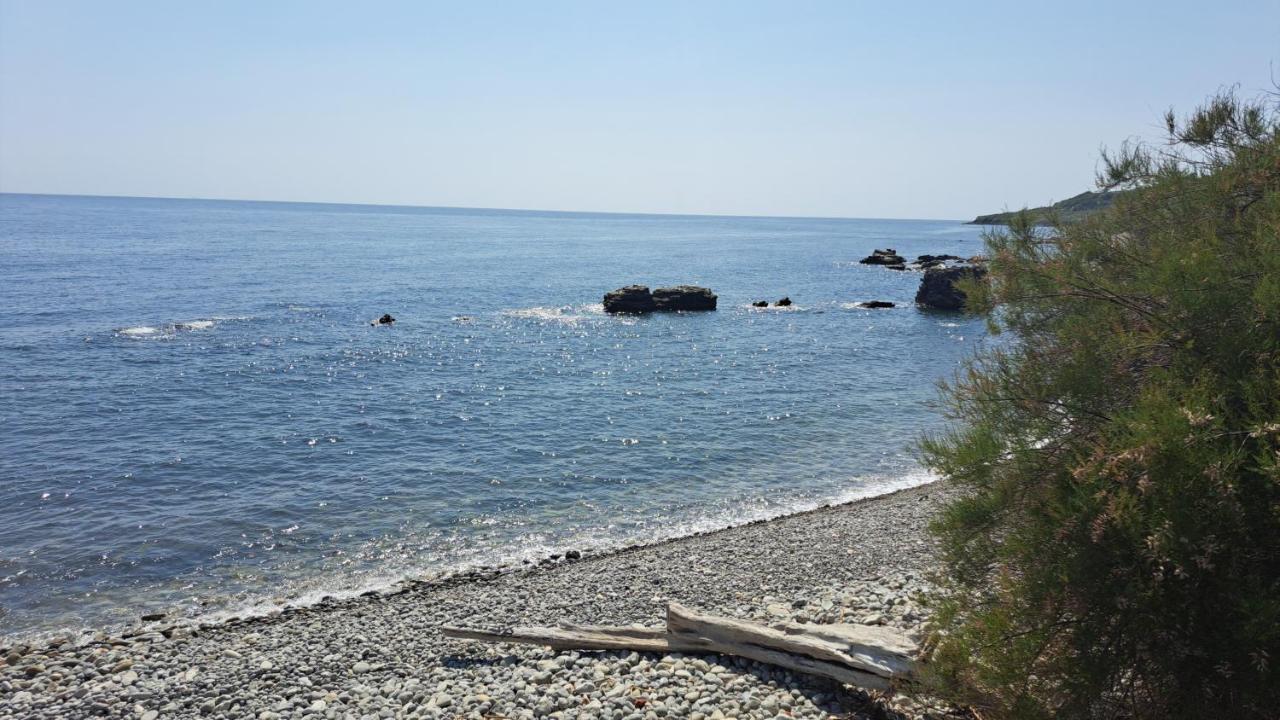 Sylvan Seas Ventnor